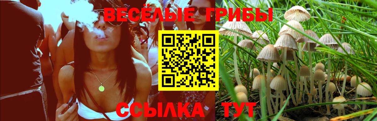 Псилоцибиновые грибы Magic Shrooms  Вход с VPN  Псилоцибиновые грибы Psilocybine cubensis  Сосновый Бор 