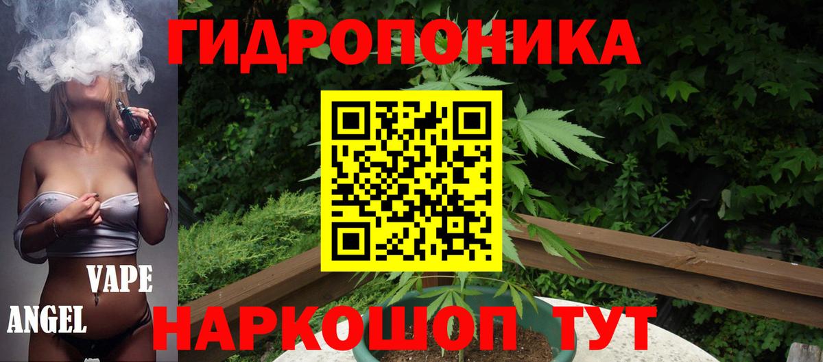 Каннабис SATIVA & INDICA  Вход с VPN  Сосновый Бор  Канабис семена  Конопля Bruce Banner 